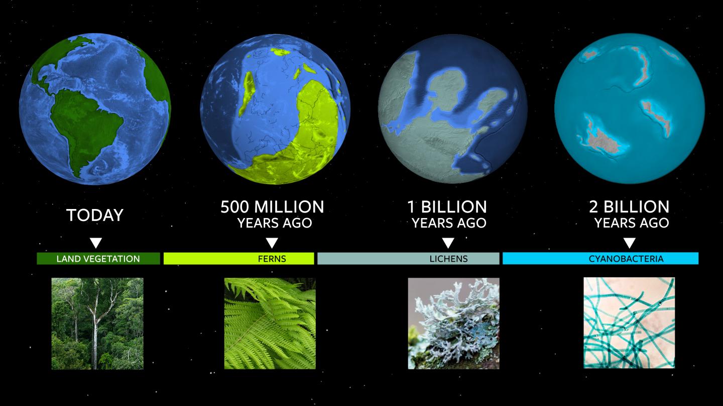 Timeline for Earth Biosignature