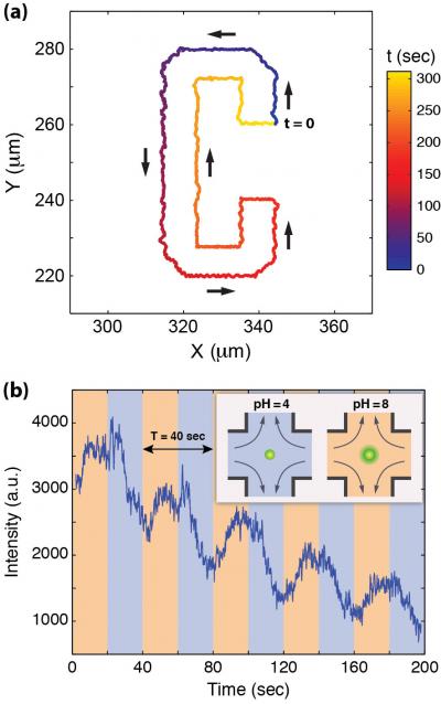 2-D micromanipulation of s2-D Micromanipulation of Single Particles ingle particles using fluid flow