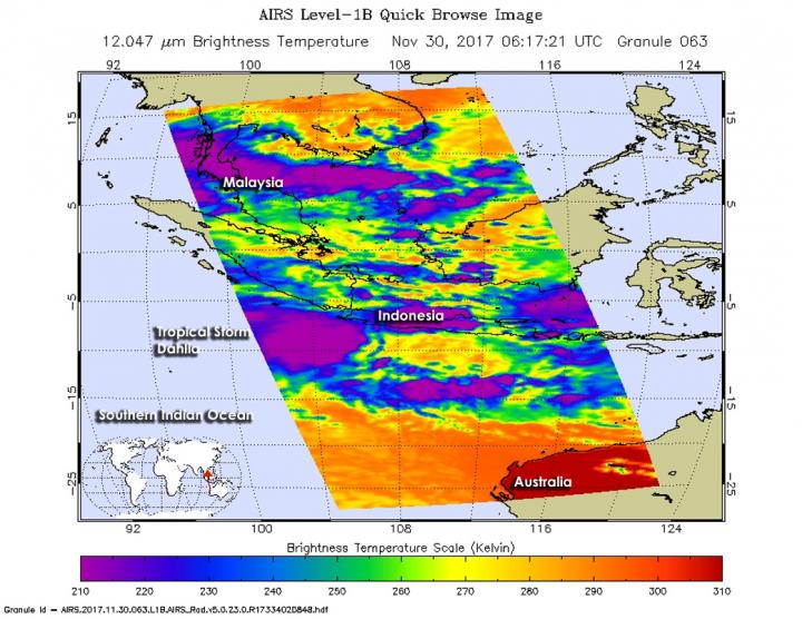 Aqua Image of Dahlia