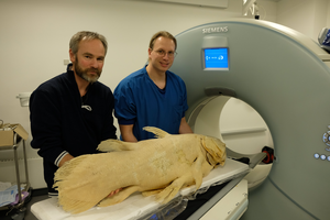 Peter Rask Møller and Henrik Lauridsen with the Copenhagen coelacanth