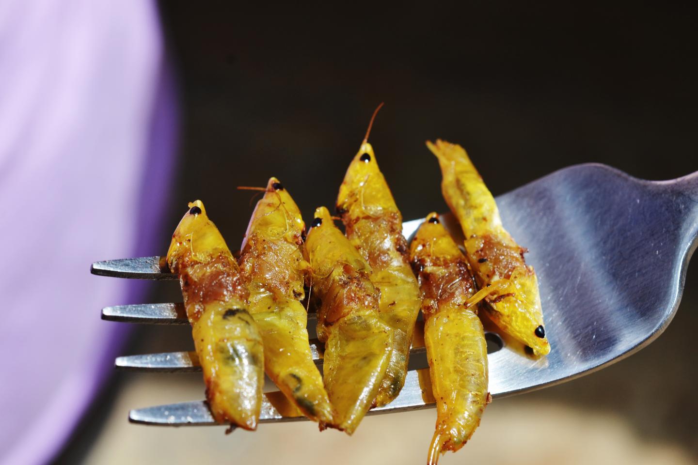 New study shows how vegans, vegetarians and o EurekAlert!