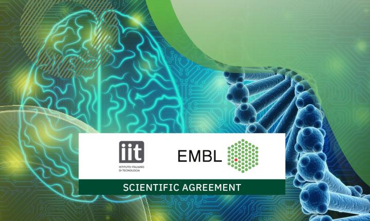 IIT-EMBL: Uniting strengths to expand research