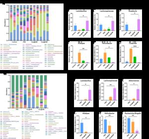 Fig. 5. The intestinal and intratumoral microbiota regulation by Oxa@HMI Gel in orthotopic colorectal cancer mice.