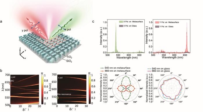 Polarization-controlled upconversion emission enhancement.