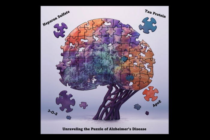 Unraveling the puzzle of Alzheimer's Disease