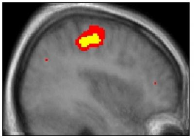 Virtual Mirror Neurons