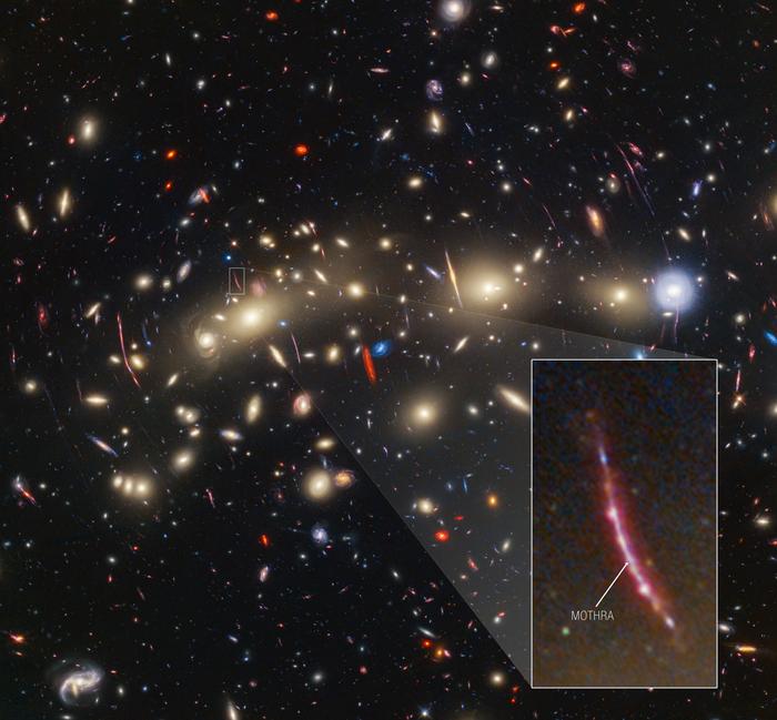 Image: Gravitationally Lensed Galaxy