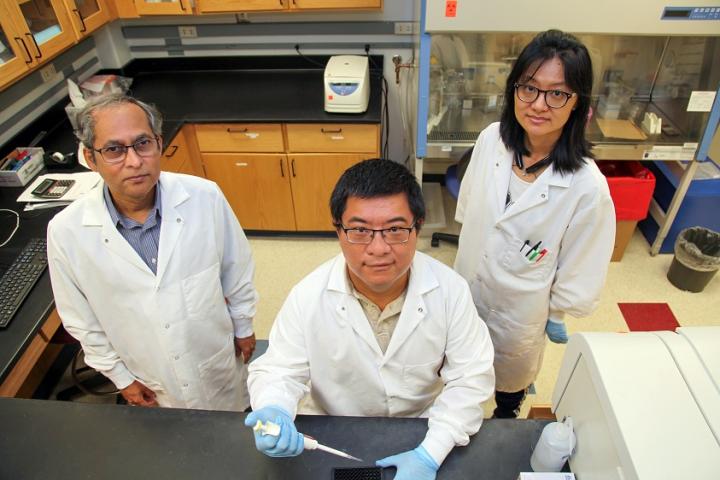 Dr. Raghavan Raju and research associates Drs. Xiaogang Chu and Lun Cai