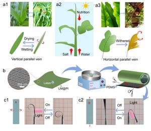 Leaf Vein-Inspired Photothermal Actuator Balances Speed, Strength, and Stability