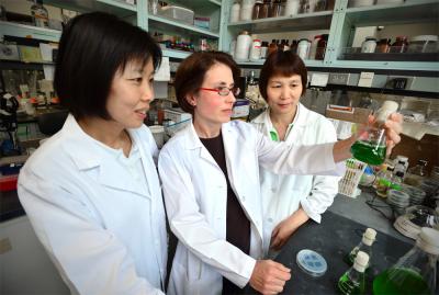 Nancy Duan, Michelle Liberton and Lingxia Zhao, Washington University in St. Louis