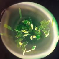 Crystals of the Fluorescent Protein mTurquoise2