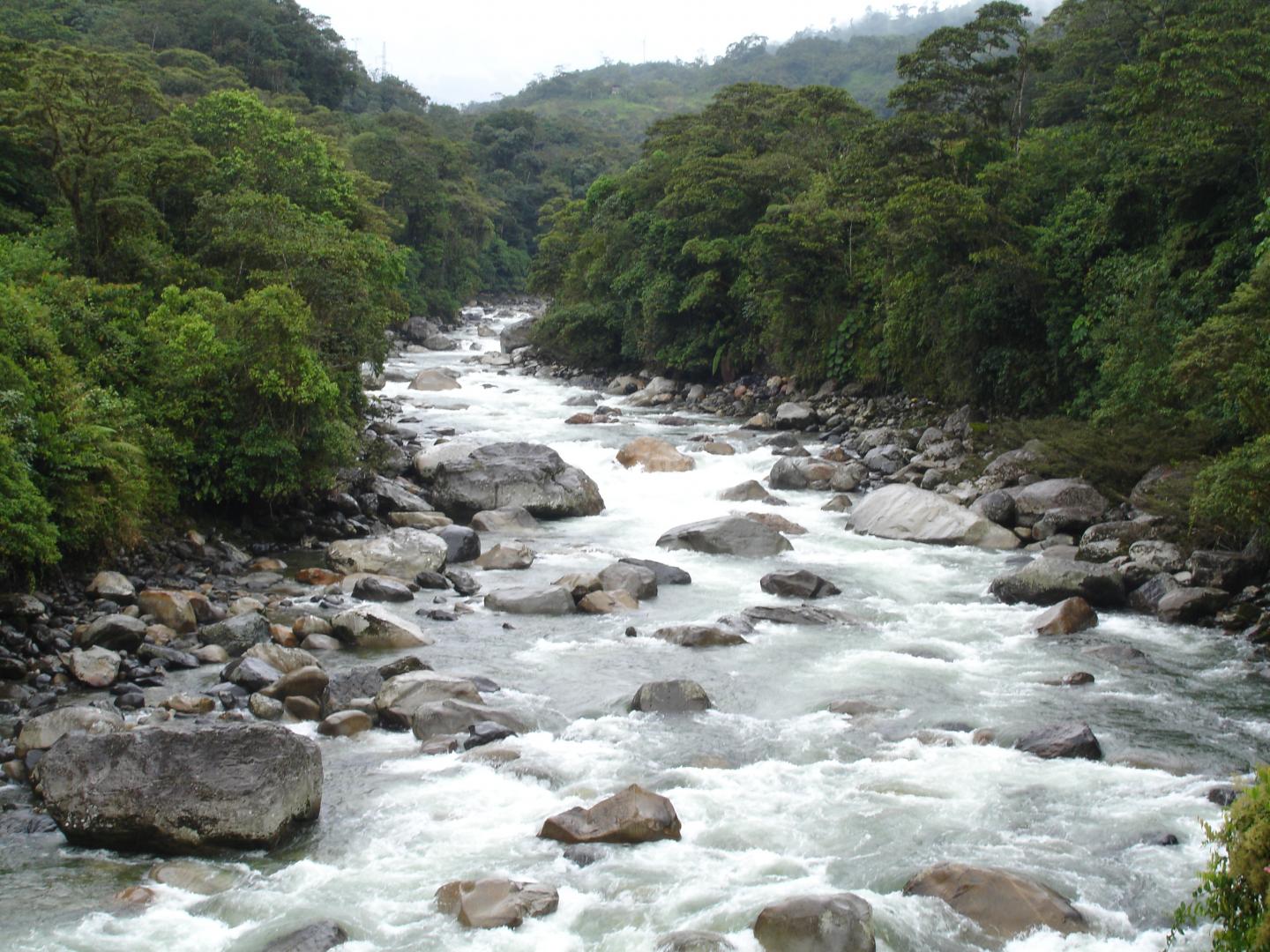 The Influence of Hydropower Dams on River Connectivity in the Andes Amazon (1 of 9)