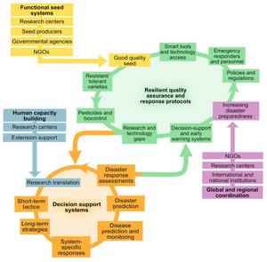 Key recommendations in disaster plant pathology