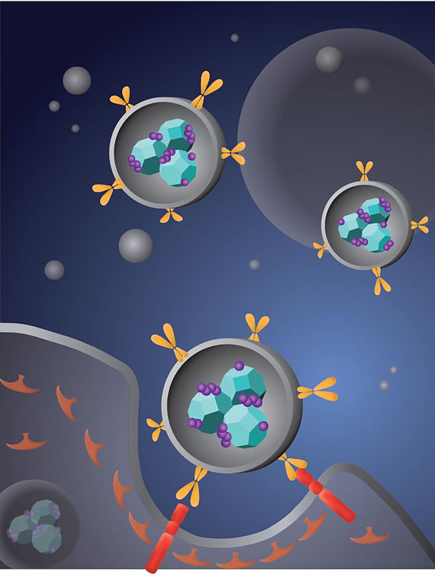 Nanodiamonds in Drug Development, Personalized Medicine