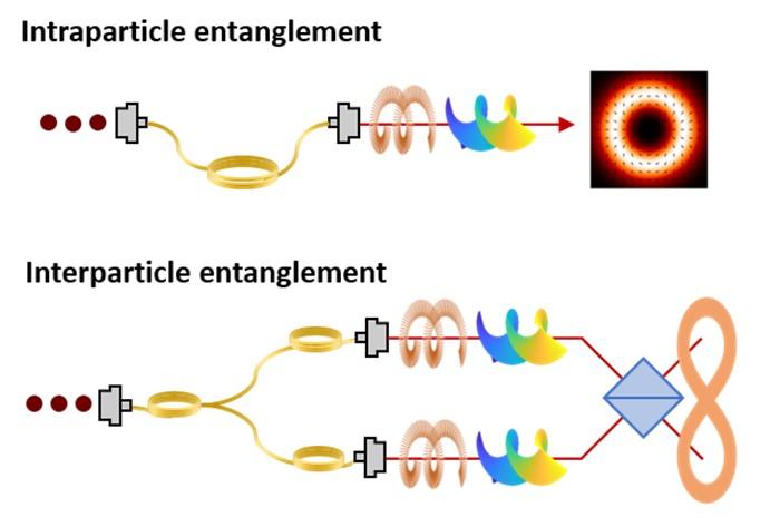 Conceptual scheme of the proposed protocol.