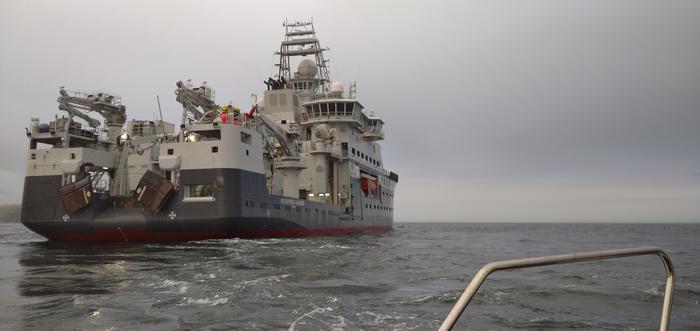 Promising Antibiotic Candidates Discovered in Microbes Deep in the Arctic Sea