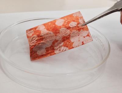 Single-Crystal Graphene on Copper