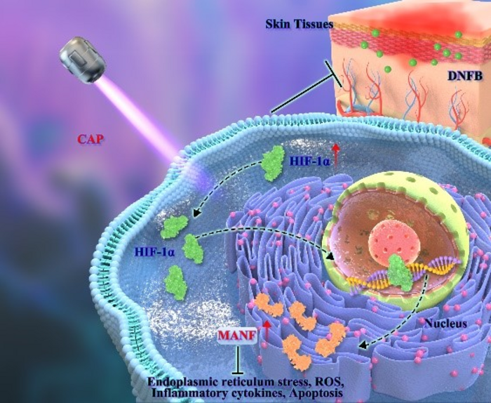 New Method to Treat Atopic Dermatitis, a Chronic Skin Disease