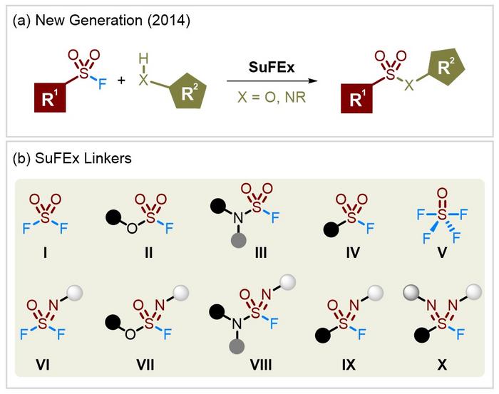 图1. （a）新一代SuFEx点击化学以及（b）多种类型SuFEx链接子