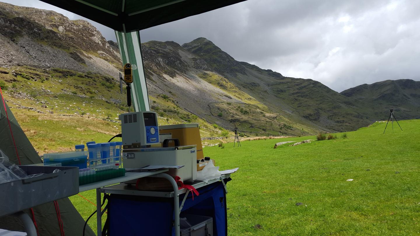 Kew Scientists use the MinION to Sequence DNA on a Welsh Mountainside
