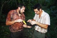 Researchers with Toucan