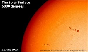 Inouye Solar Telescope Coronal Magnetic Field Map