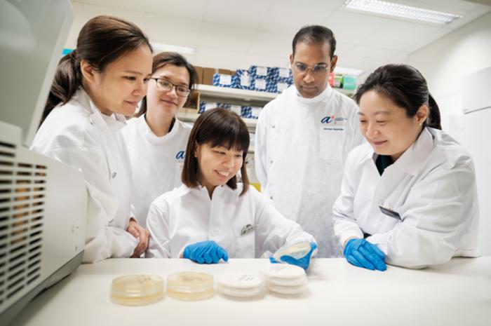 From far left: Dr Chayaporn Suphavilai, Ms Lim Kar Mun (A*STAR's GIS), Ms Tan Mei Gie (SGH), A/Prof Niranjan Nagarajan, Dr Karrie Ko