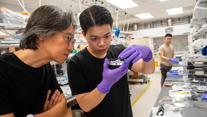 Jiwoong Park’s lab at the University of Chicago