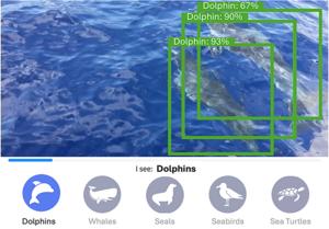 AI-assisted annotation helps users in marine biodiversity observations from real-time video feeds.