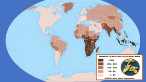 TB Map