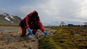 Collection of Antarctic soil samples from areas with high biological activity