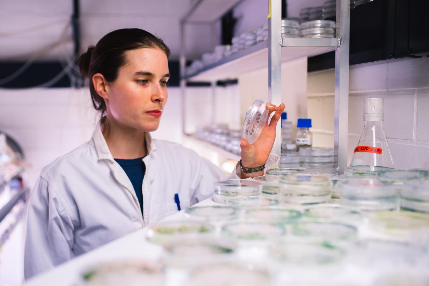 Anne Sawyer, Ruhr-University Bochum