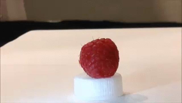 Robot Gently Touches a Raspberry