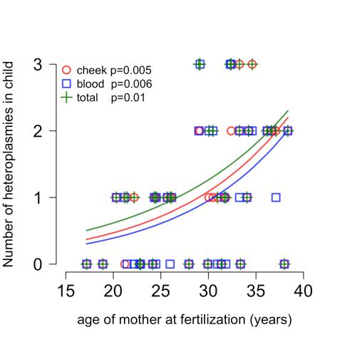 Maternal Age Effect