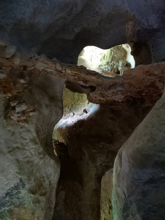 Ngu Hao 2 in-situ cave sediments.