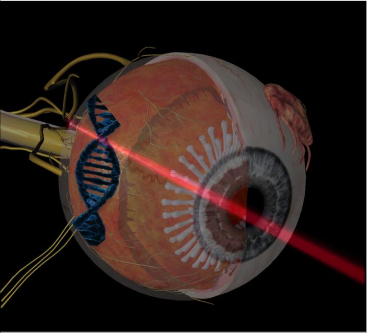 Optogenetic Therapy