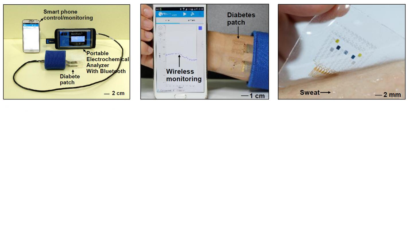 Demonstration of the Wearable Diabetes Monitoring and Therapy System in Vivo