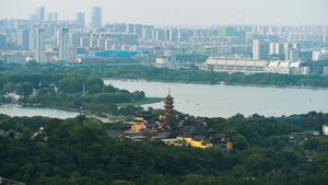 anjing, where the research team is based, experienced consecutive hot summer days of nearly 40℃ in August. Nanjing, with an area of 6587 square kilometers, is also famous for its densely planted trees and lawns, which cover 45% of the city, making it on