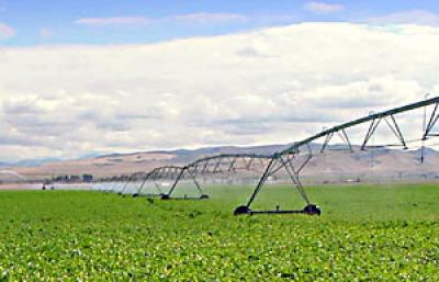 Irrigated Farm Fields