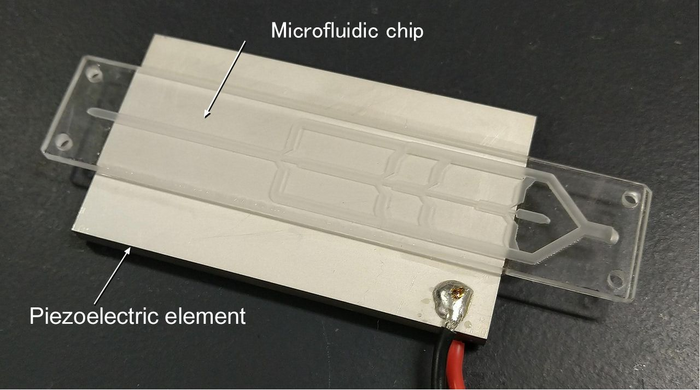 Microfluidic device for collecting microplastics through acoustic focusing