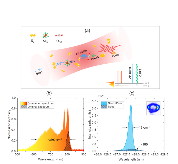 Fig. 1 Basic principle for the greenhouse gas detection with air-lasing-based Raman spectroscopy.