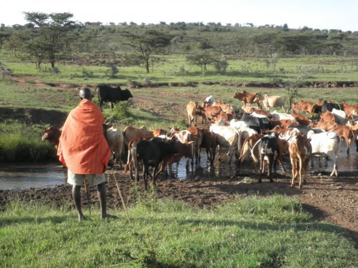 Herder Kenya