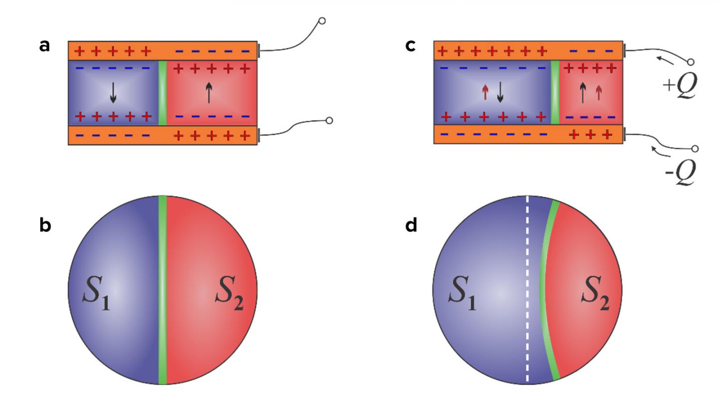 Argonne Scientists Devise Steady State Negative Capacitor