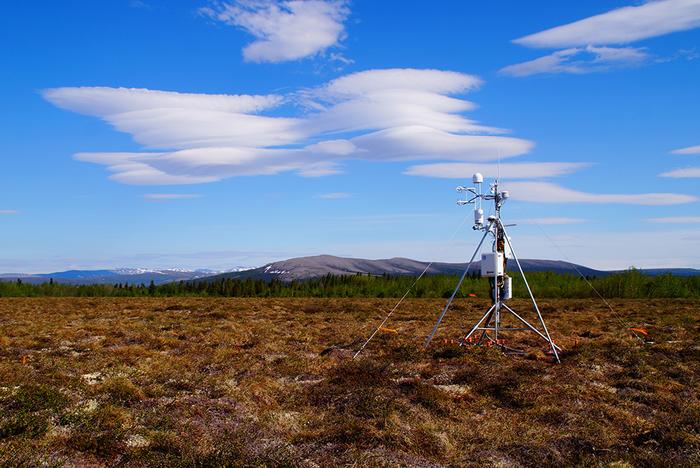 Methane Emissions from Wetlands Increase Significantly Over High Latitudes