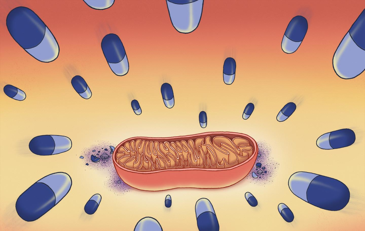 New tricks for old antibiotics