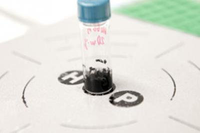 Fuel Cell Production in Action