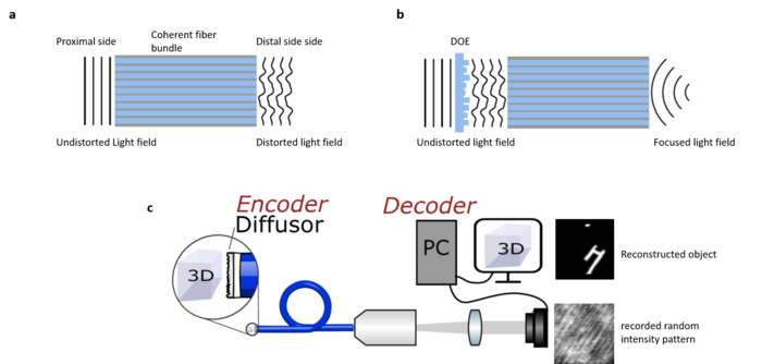 Working principle of miniaturized endoscopes