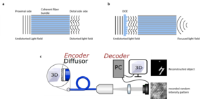 Working principle of miniaturized endoscopes