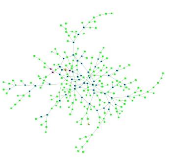 Infectious Networks (2 of 2)