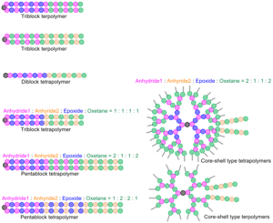 A wide variety of synthetic polymers with diverse structures can be constructed using the method developed in the study